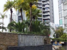 主卧带6米层高私家露台 大面宽 采光充足