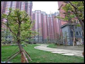 中房学府海棠一期2室1厅南北