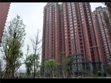 中房学府海棠一期 3室2厅 南