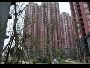 中房学府海棠一期2室1厅东南南