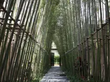 2018年!+产权车位+店长推荐