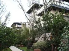 复式洋房,五复六,带电梯,客厅很敞亮,采光充足