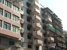 公园小 99年电梯 精装4房 带100平露台 可种花养宠物