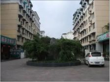 西部石油苑3室2厅南北