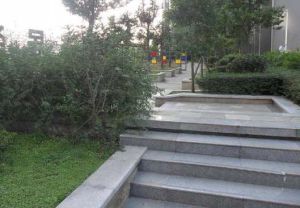 西部石油苑3室2厅南