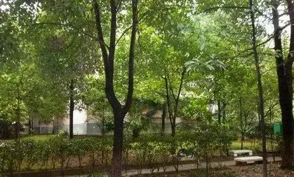 芙蓉小区实景图