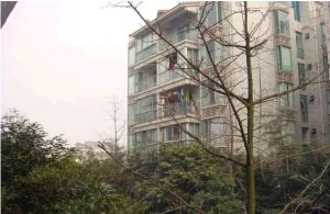 西区花园晨之曦3室1厅南
