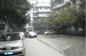 成华东方丽景实景图