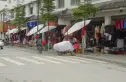 堰上芙蓉印象实景图