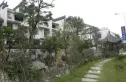 堰上芙蓉印象实景图