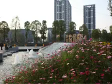 大学城 康田紫悦府四房173万