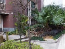 鼓楼区+双地铁+鼓五闽附+富裕世家两梯两户+端头四房