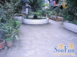 红花苑 2室1厅 北 东北