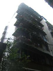 红花苑 2室2厅 北 南