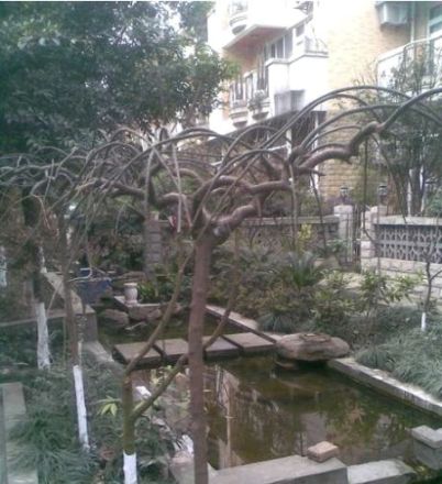 绿水康城别墅实景图