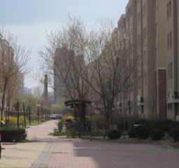 时代欣城 3室1厅 东