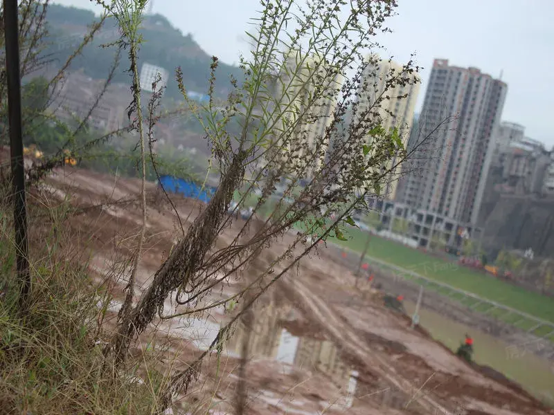 通江诺江文化商业广场活动现场