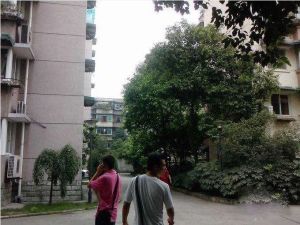 玉林西街后巷1号3室2厅南