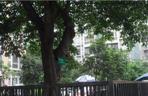 龙腾花园1室1厅东