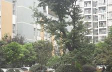 龙腾花园1室1厅东