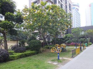 电梯居家大四房 小区管理好 可以直接入住