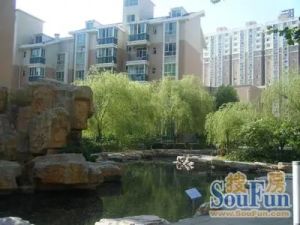 高桥鑫玉B1小区西区2室1厅南