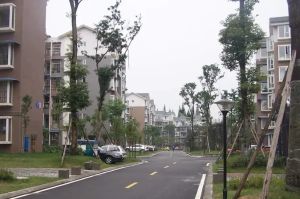 高桥鑫玉B1小区东区2室1厅南北