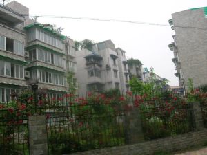 大石西路36号 4室2厅 南