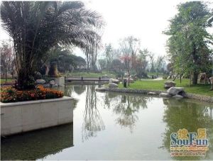 锦汇城A区 3室1厅 南 北