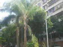 溪岸社区 2室1厅 南 北