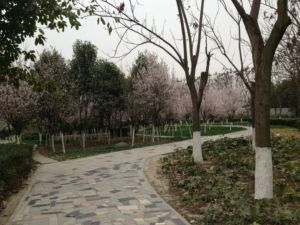 沙河锦庭2室1厅东南