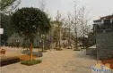 青城云雾山庄实景图