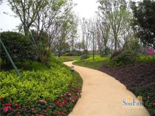 东原城 3室2厅 东南 西南