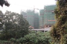 此房为中心城5期,高端社区三梯三户,改善性住房
