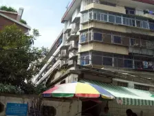 电梯房 光线好,明厨明卫 采光视野好