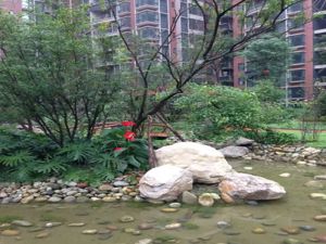 七彩花都B区二期 3室1厅 西南