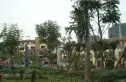 德坤海地亚实景图