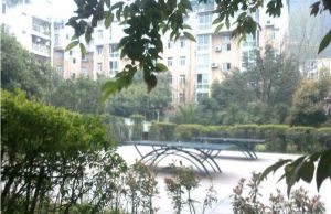 天府香城印象 3室1厅 东