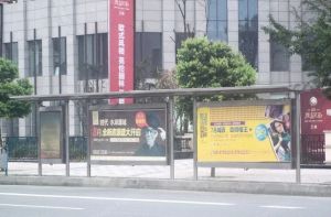 晶宝维吉尼亚1室1厅东南