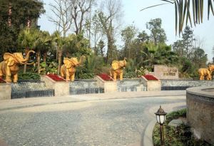 通瑞月光湖1室1厅东