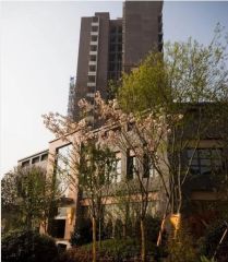 上锦康城B期2室1厅南