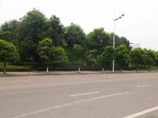 德坤新天地1室1厅南