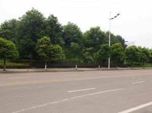德坤新天地 1室1厅 南
