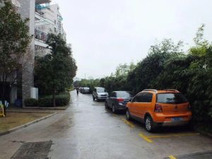 正祥香槟风范,电梯高层进门带入户三房南,地铁公园房