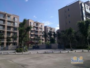 长河郡3室2厅东东北