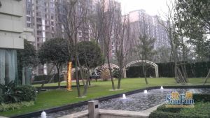 置信学府杏林一期 3室1厅 南