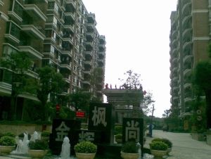 金辉枫尚3室1厅东南