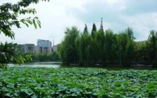 润扬双铁广场1室1厅东南