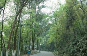 润扬双铁广场1室1厅东南