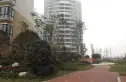 香江紫钻实景图